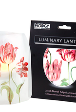 Modgy Luminary Jacob Marrell Tulips