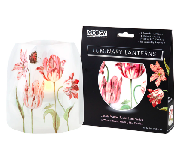 Modgy Luminary Jacob Marrell Tulips