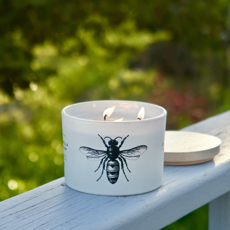 Citronella Blossom 3 Wick Candle