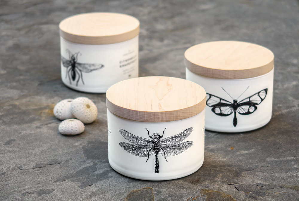 Citronella Sea Salt 3 Wick Candle