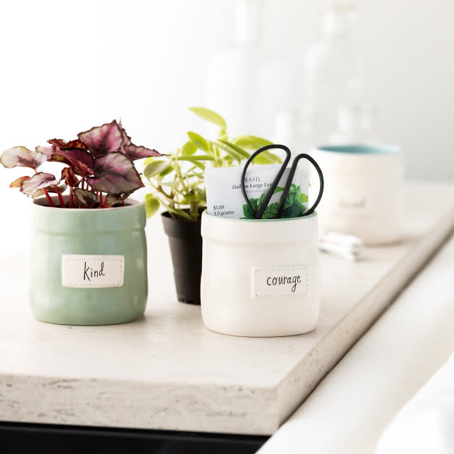Demdaco Plant Kindness Pot