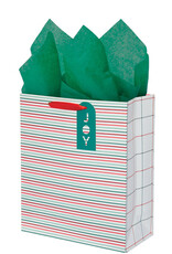 Gift Wrap Company Stripe Surprise Gift Bag