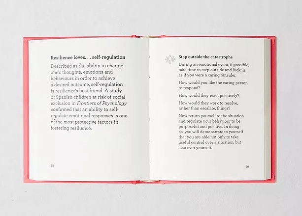 The Little Book Of Resilience: Strength-Grit-Power