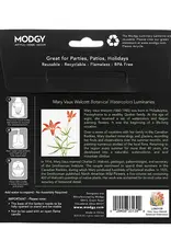 Modgy Luminary Botanical Watercolors