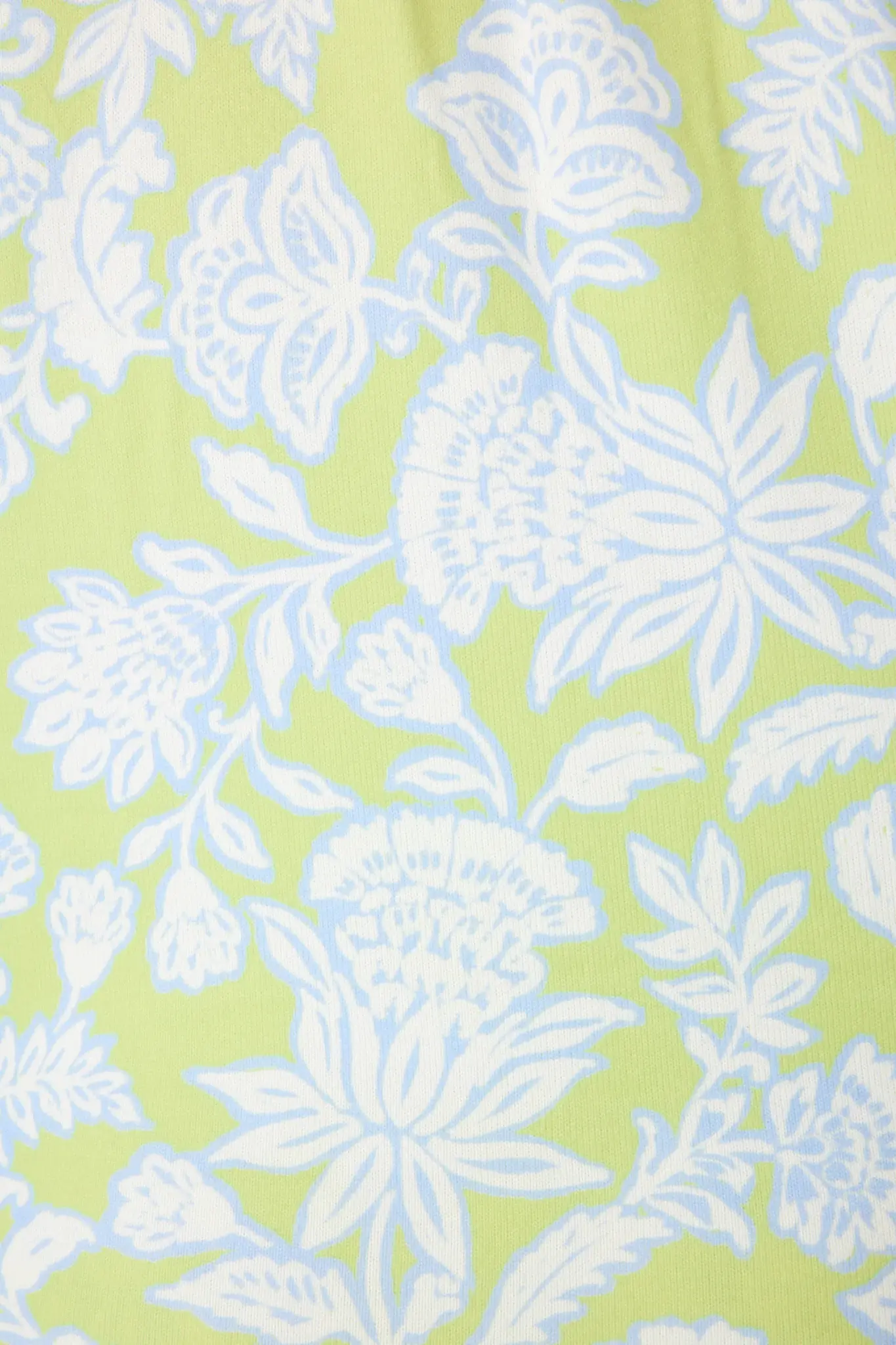 PJ Salvage Beautiful Life Pant Lime