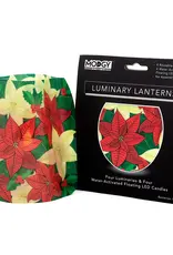 Modgy Luminary On Point