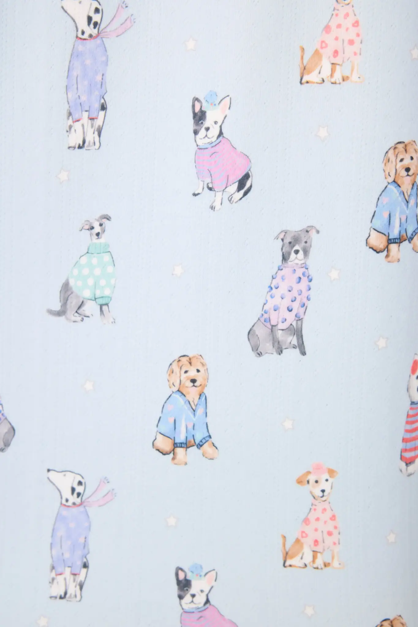 PJ Salvage Doggone Cold Top