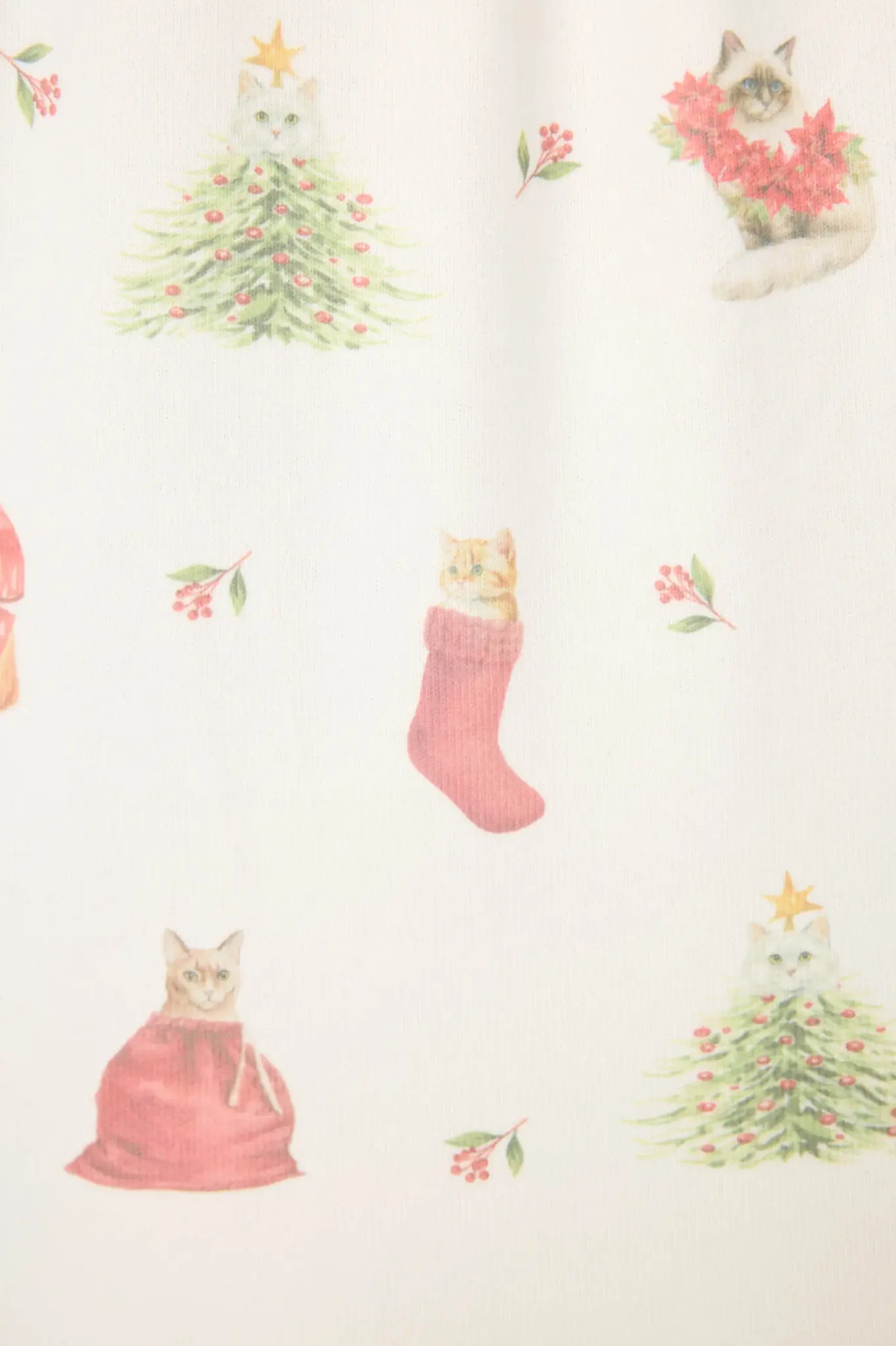 PJ Salvage Feline Festive Cat Set