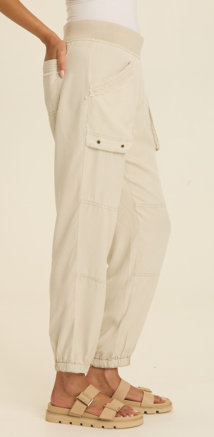 XCVI Chattaway Pant Center Stage