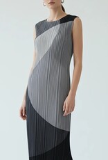 Wild Cosmos Gianna Plissé Dress One Size