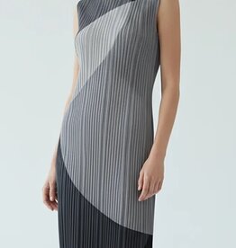 Wild Cosmos Gianna Plissé Dress One Size