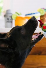 P.L.A.Y. Barktender Dog Toys