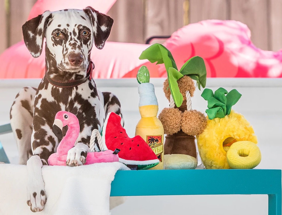 P.L.A.Y. Tropical Paradise Dog Toys