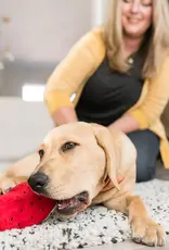 P.L.A.Y. Tropical Paradise Dog Toys