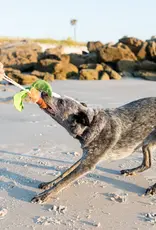 P.L.A.Y. Tropical Paradise Dog Toys