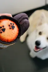 P.L.A.Y. Mini Dog Toys