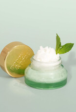 Poppy & Pout Sweet Mint Lip Scrub