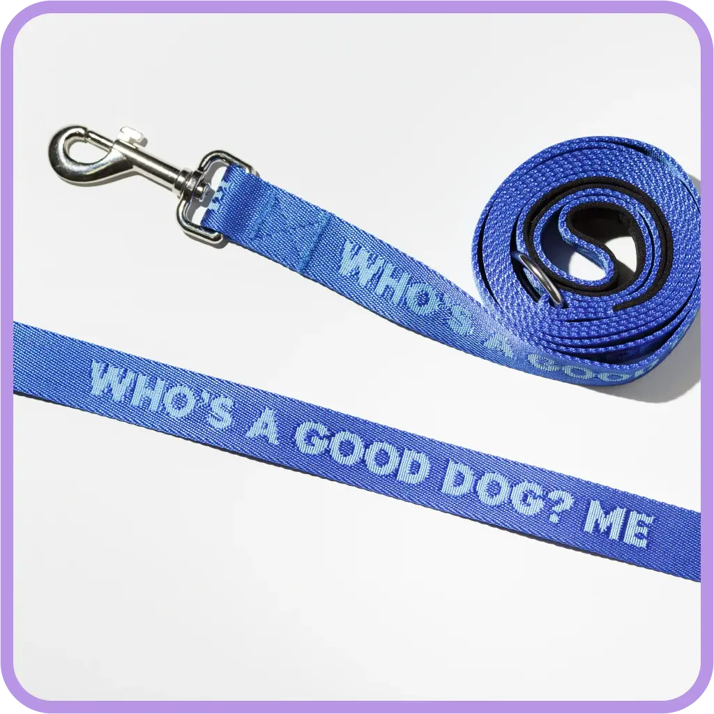 Pretty Alright Who's a Good Dog Leash