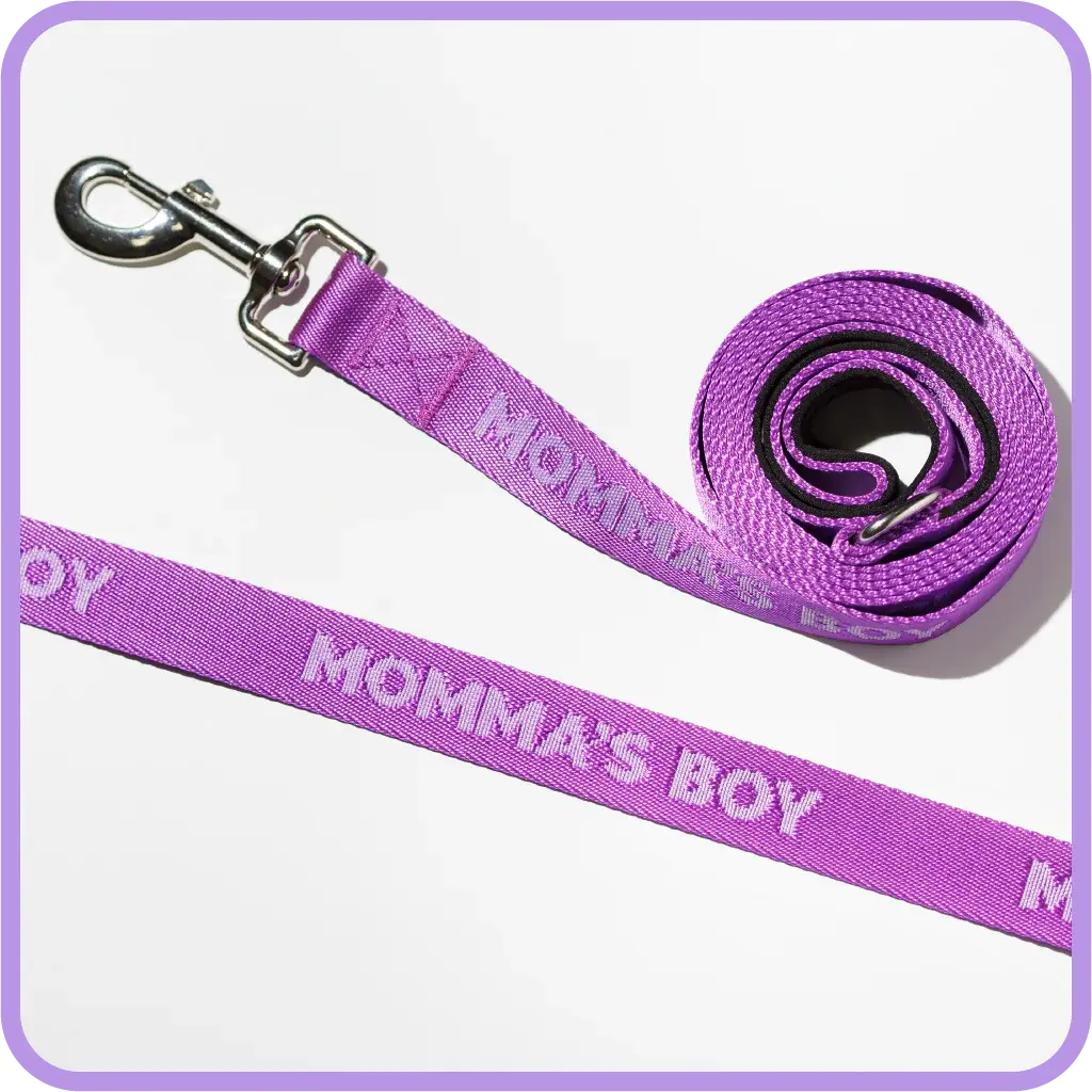 Pretty Alright Momma's Boy Leash