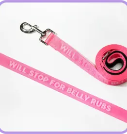 Pretty Alright Stop for Belly Rubs Leash