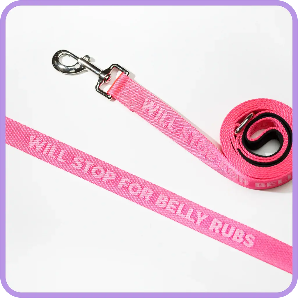 Pretty Alright Stop for Belly Rubs Leash