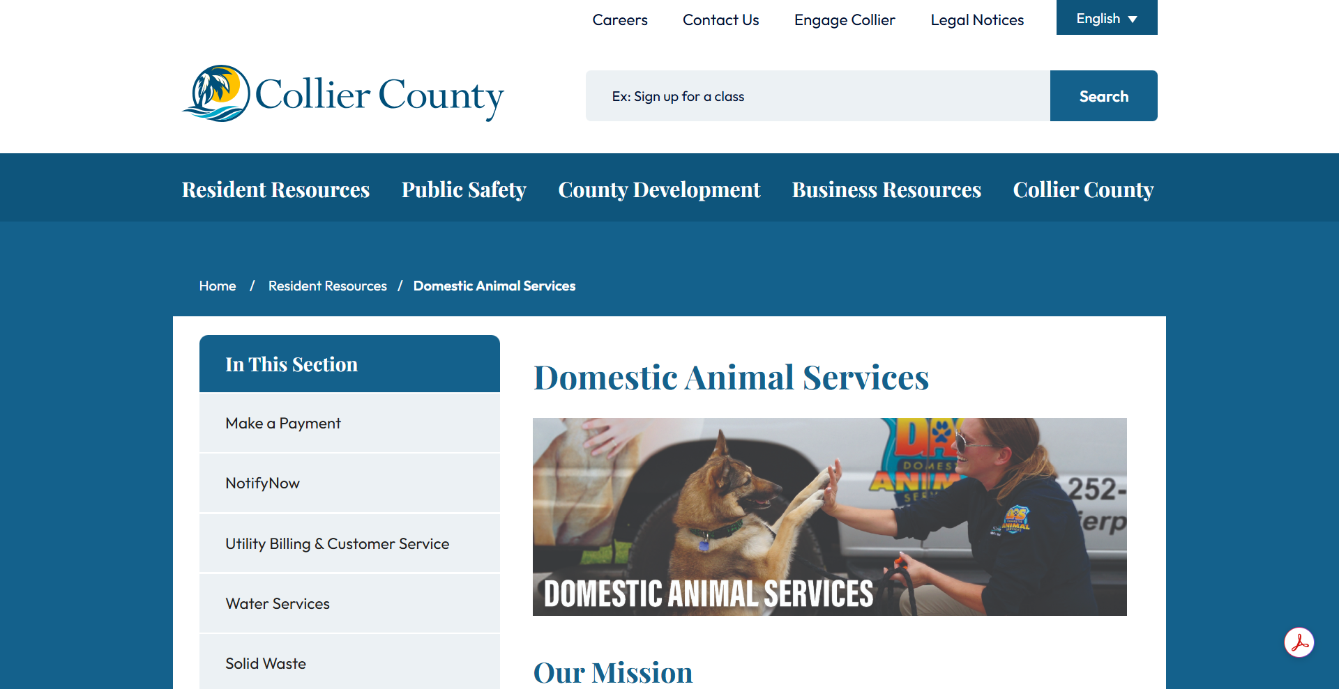 7 Myths About Shelter Pets—Busted: Why Adopting From Collier County Domestic Animal Services Is a Great Choice