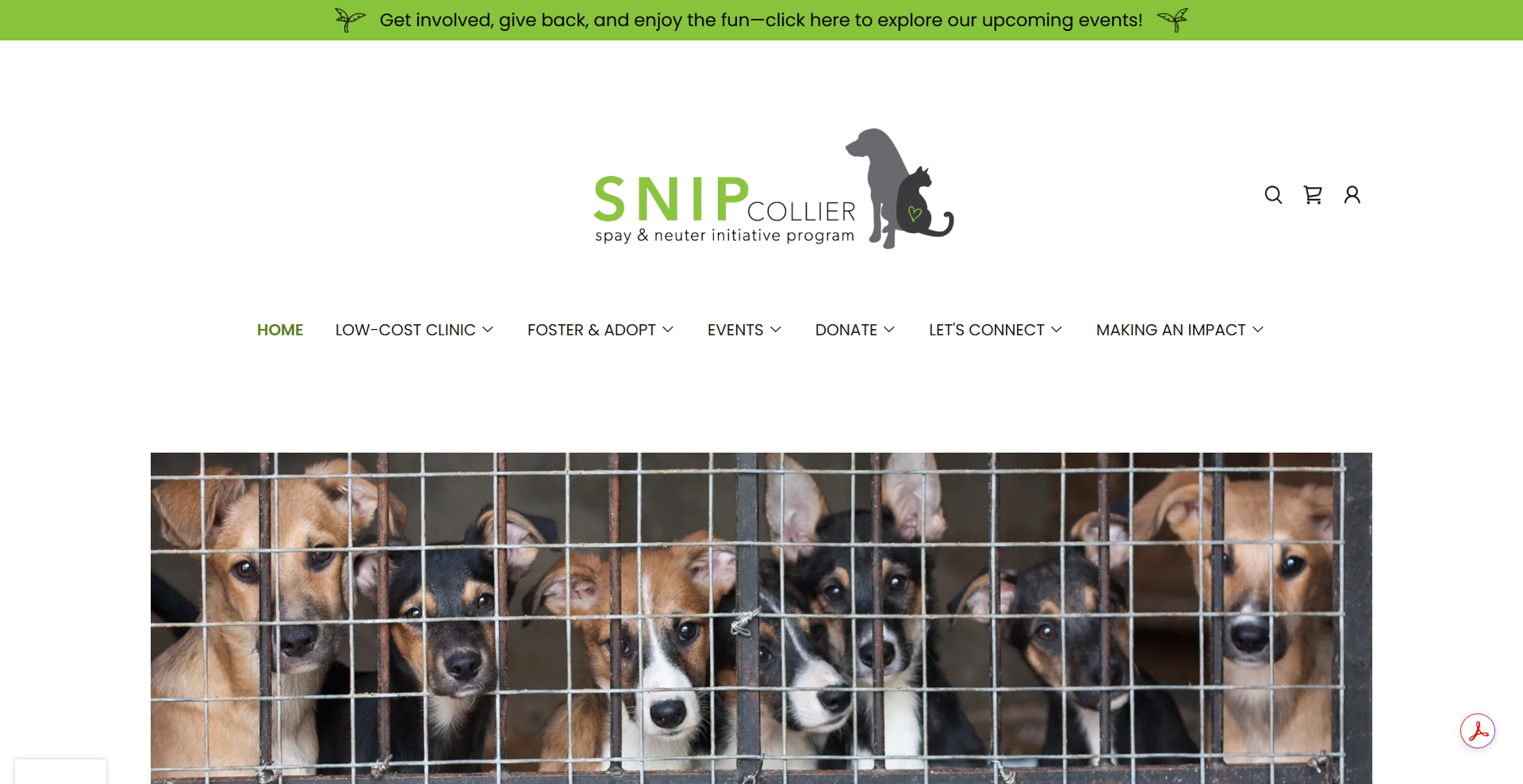 Your First Clinic Visit at Snipcollier.Org: Preparing Your Pet for a Safe, Low‑Cost Spay/Neuter