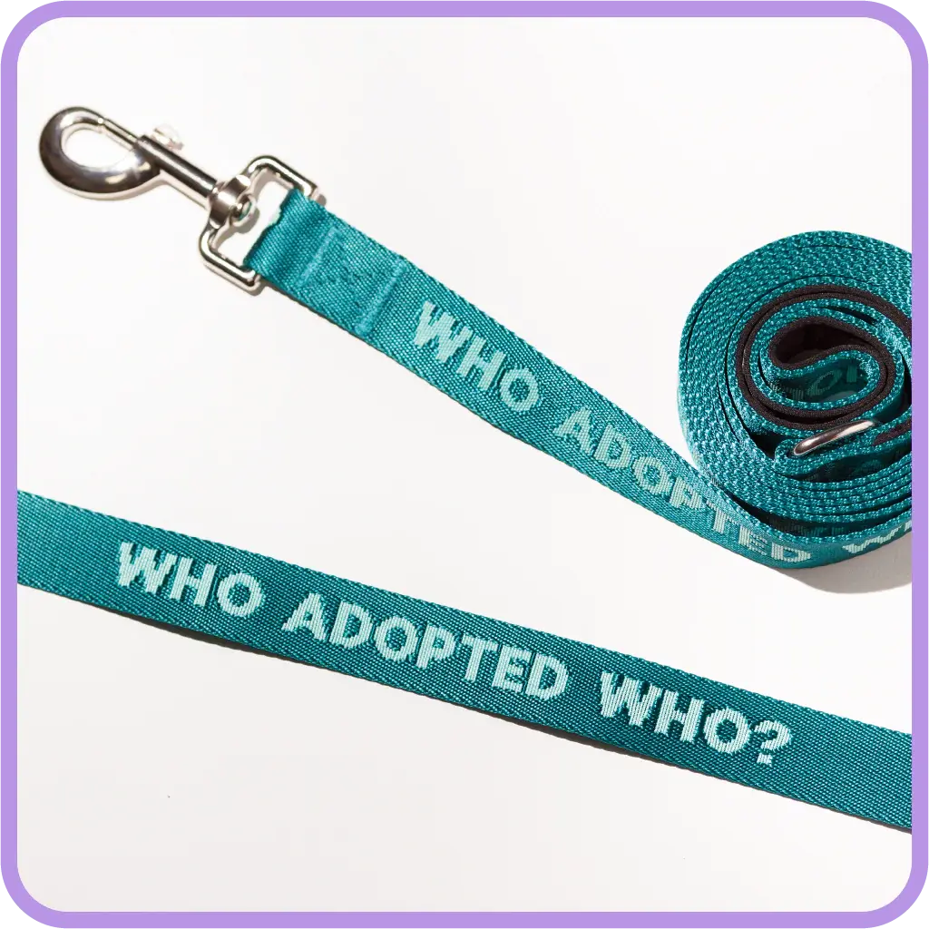 Pretty Alright Who Adopted Who Leash