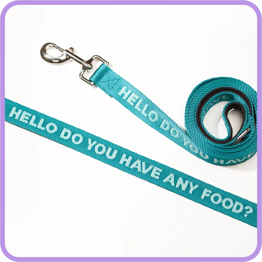 Pretty Alright Do You Have Any Food Leash