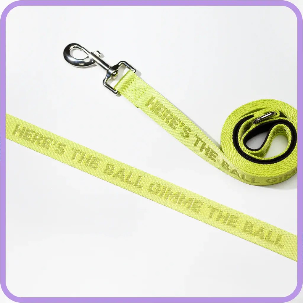 Pretty Alright Gimme the Ball Leash