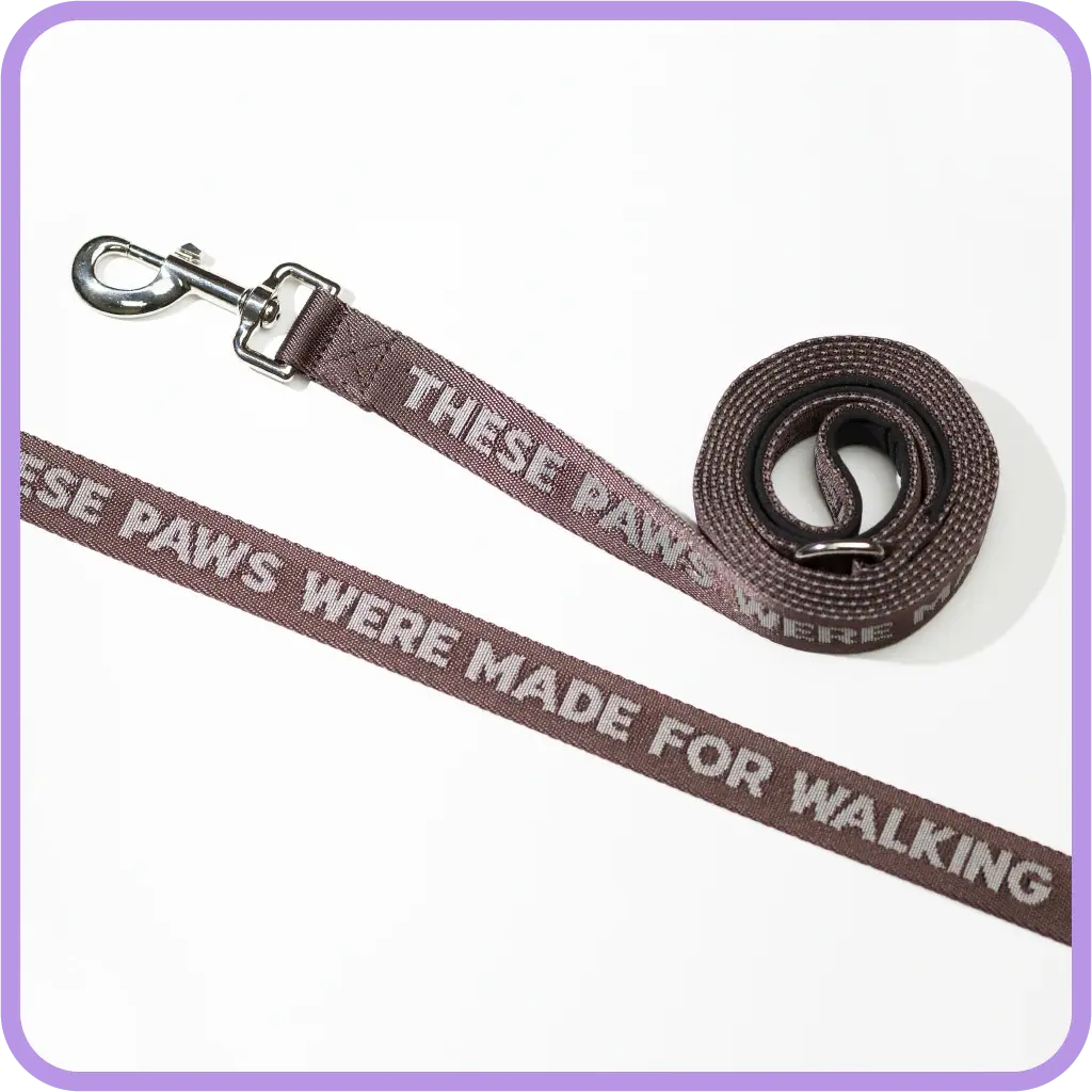 Pretty Alright Made for Walking Leash