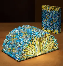 Modgy Louis C Tiffany Dragonfly Light Book