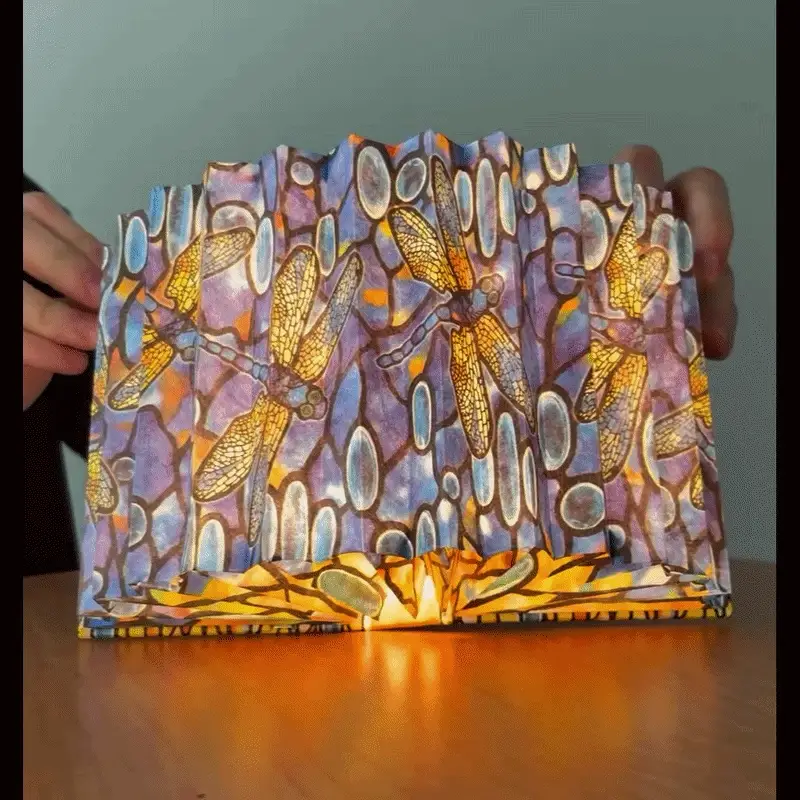 Modgy Louis C Tiffany Dragonfly Light Book