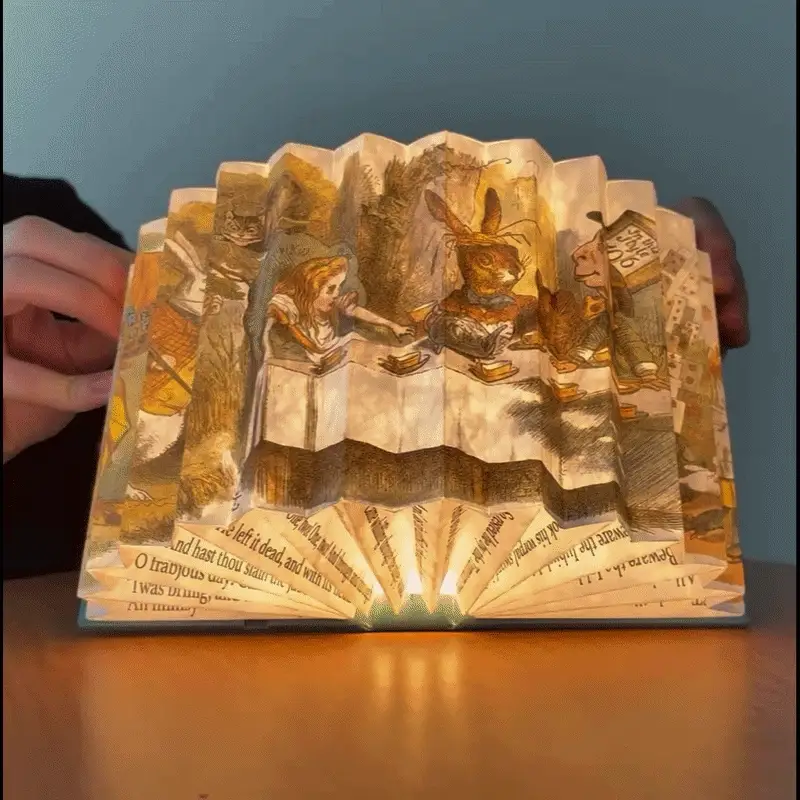 Modgy Alice in Wonderland Light Book
