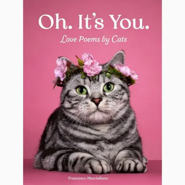 Hachette Oh. It's You. Love Poems by Cats