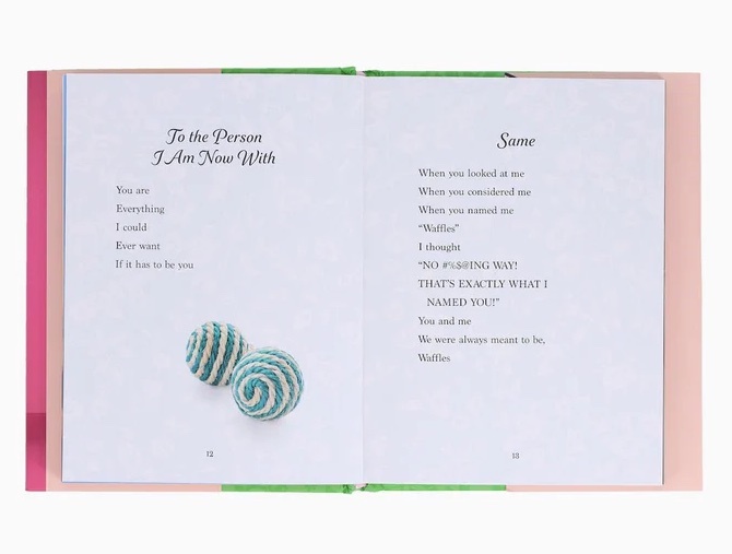 Hachette Oh. It's You. Love Poems by Cats