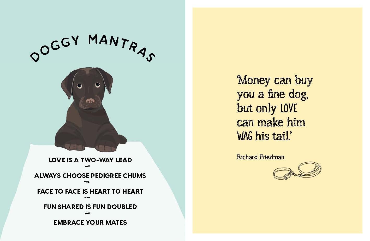 Hachette Be More Dog : Tips and Tricks for Unlocking Your Paw-tential