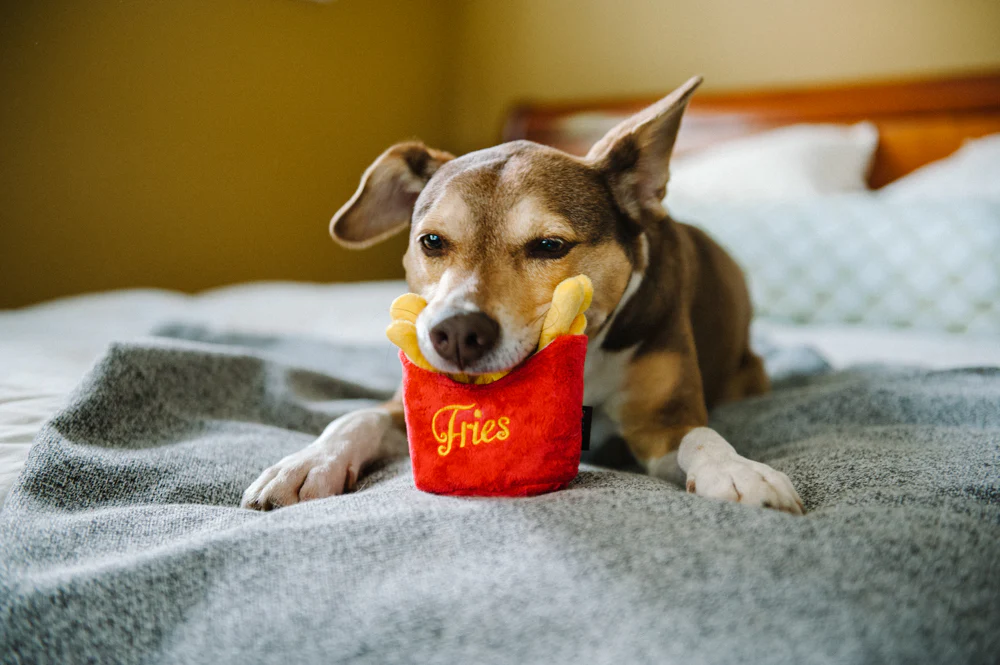 P.L.A.Y. Frenchie Fries Dog Toy
