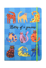Hijinx Notes of a Genius Notebook