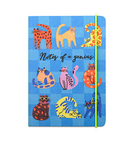 Hijinx Notes of a Genius Notebook