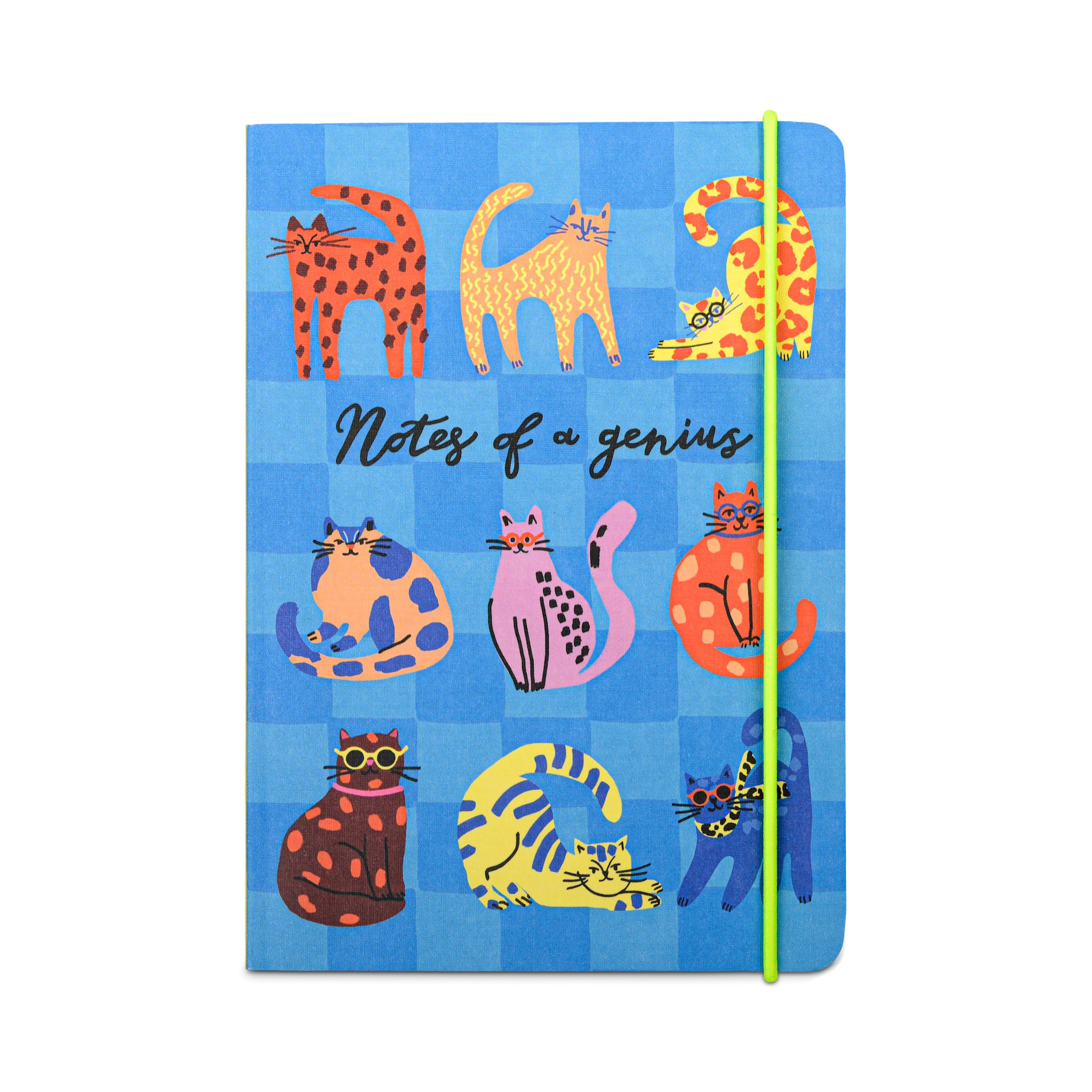 Hijinx Notes of a Genius Notebook