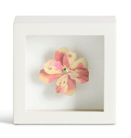 Demdaco Gentle Spirit Pink Flower Shadow Box - 4in