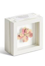 Demdaco Gentle Spirit Pink Flower Shadow Box - 4in