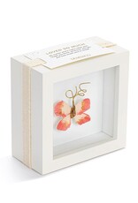 Demdaco Butterfly Shadow Box - 4in