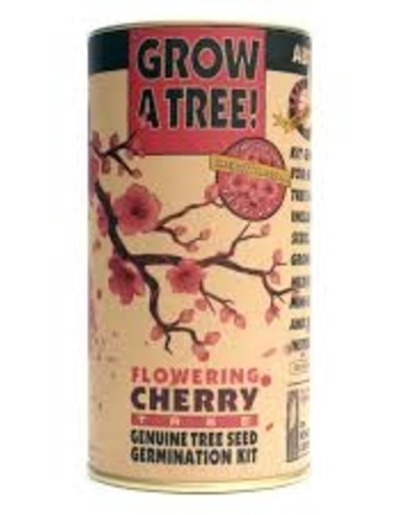 Seed Grow Kits