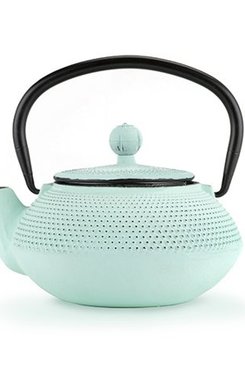 Cast Iron Tea Pot + Infuser Cast Iron Tea Pot + Infuser
