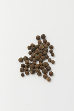 Allspice, Berries, 1 oz Bagged Allspice, Berries, 1 oz Bagged