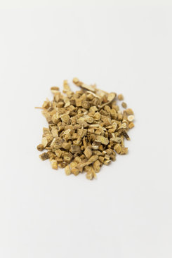 Astragalus Root, 1 oz Bagged Astragalus Root, 1 oz Bagged