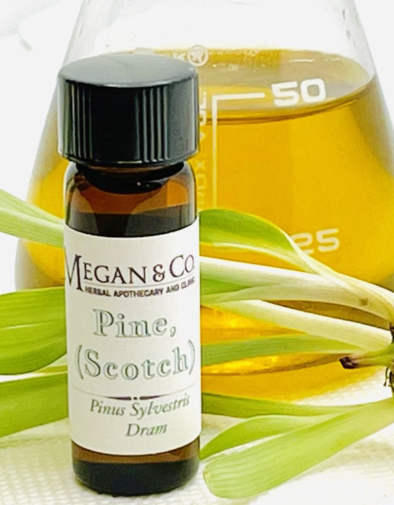 Pine Scotch Organic Essential Oil