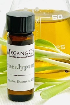 Eucalyptus Organic Wild Grown Essential Oil Eucalyptus Organic Wild Grown Essential Oil